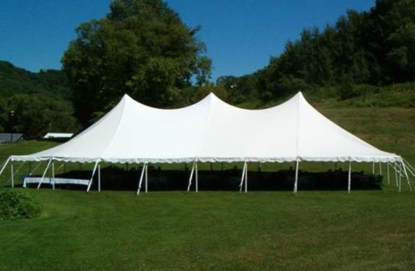 30' x 80' pole tent replacement top - sectional